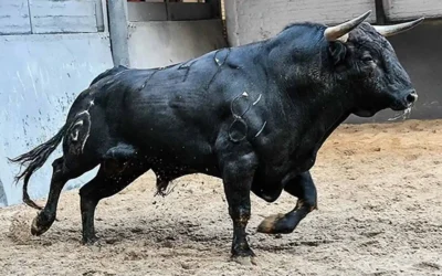 Visita a la Ganadería